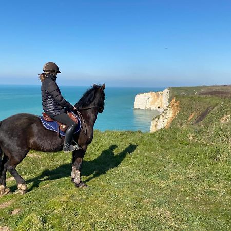 Domaine Equestre Etretat Bed & Breakfast Le Tilleul Ngoại thất bức ảnh