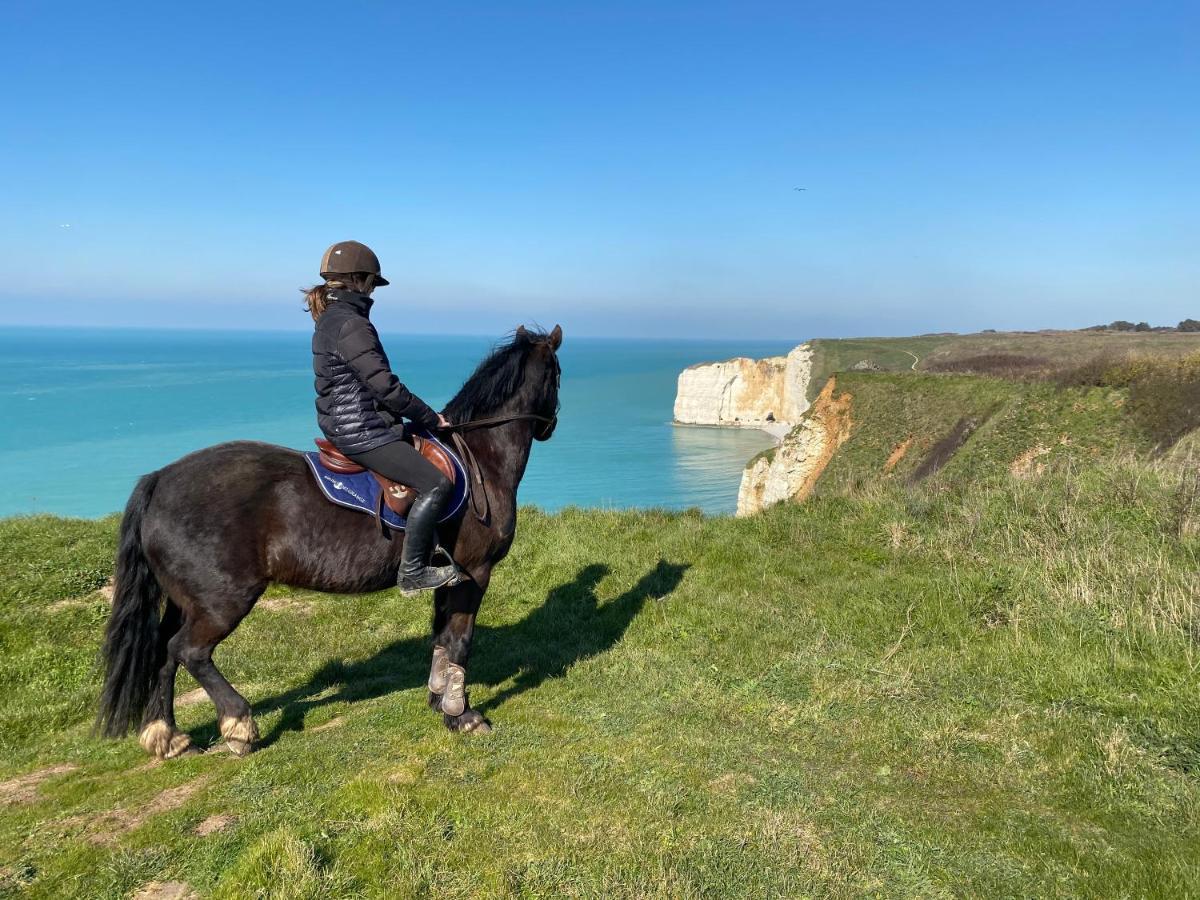 Domaine Equestre Etretat Bed & Breakfast Le Tilleul Ngoại thất bức ảnh